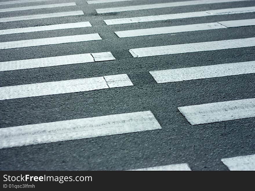 Pedestrian. Zebra on Road in City. Transportation. Pedestrian. Zebra on Road in City. Transportation.