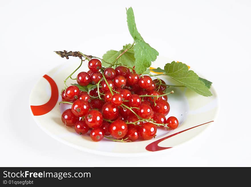 Currant red isolated on white