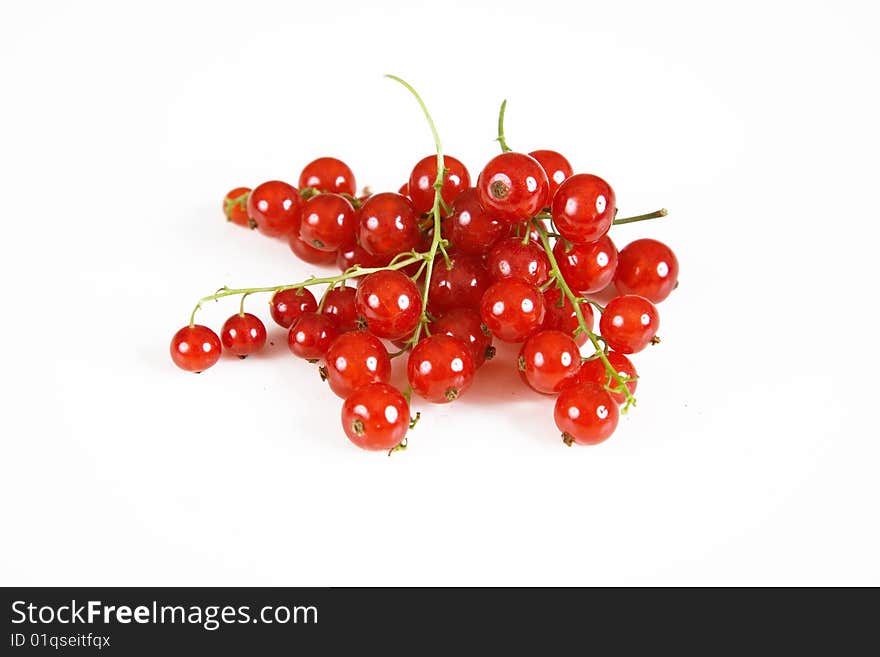 Currant red isolated on white