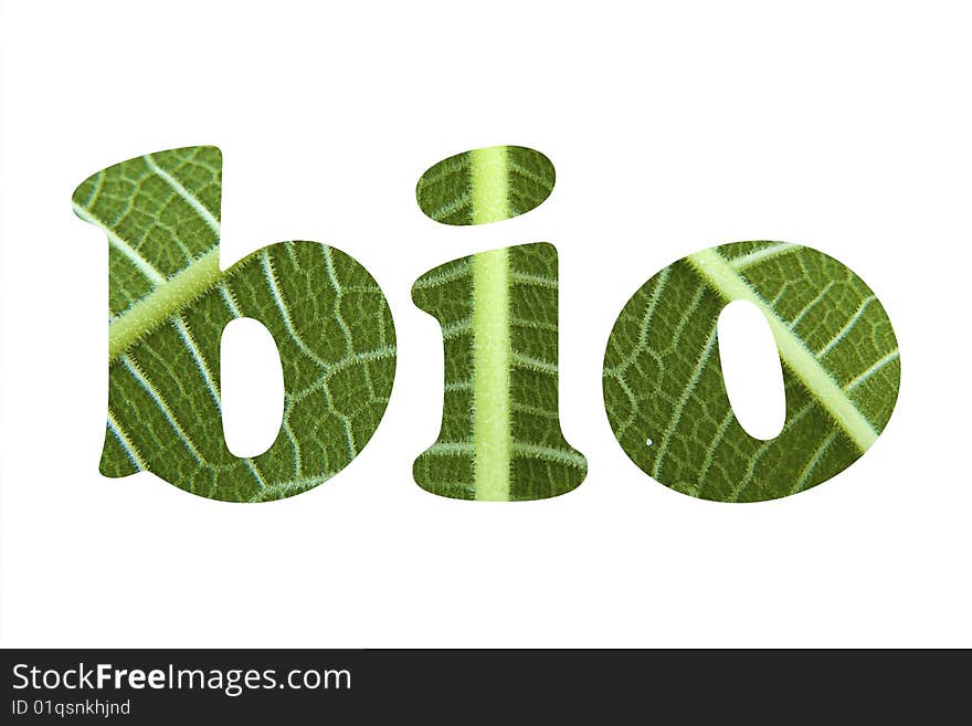 Bio text of green leaf texture