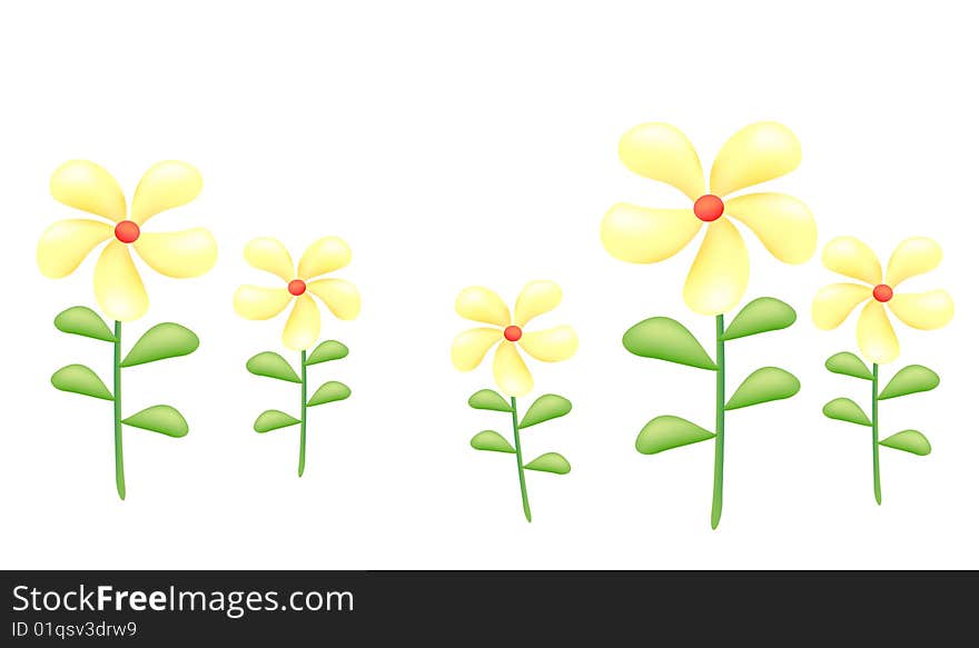 A group of yellow daises on the white background. A group of yellow daises on the white background