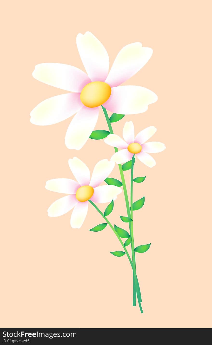 White flower on the pink background