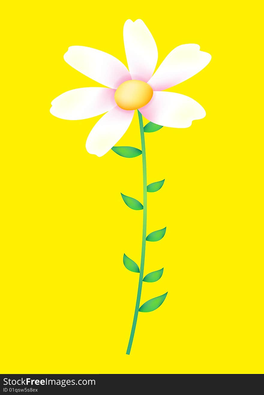 A white flower isolate on the yellow background