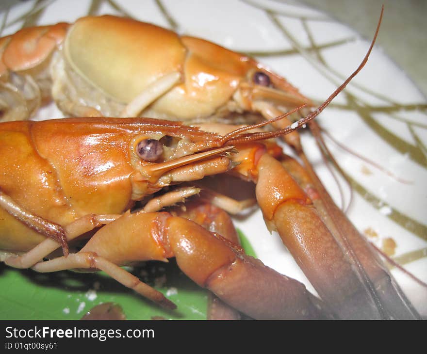 Lobster head in focus on the plate. Lobster head in focus on the plate