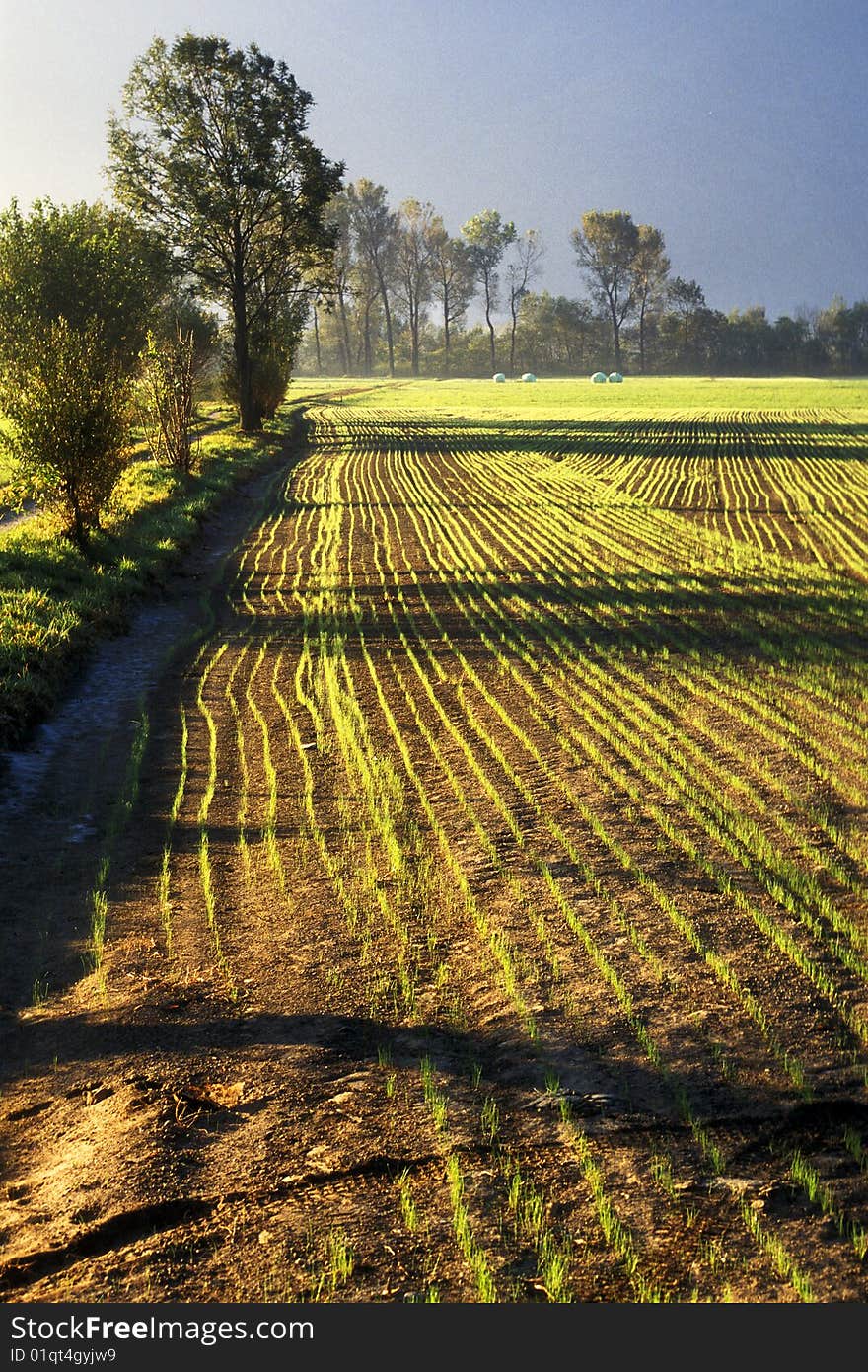 Campaign landscape