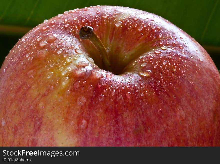 On a colorful fresh apple appears dewdrops. On a colorful fresh apple appears dewdrops.