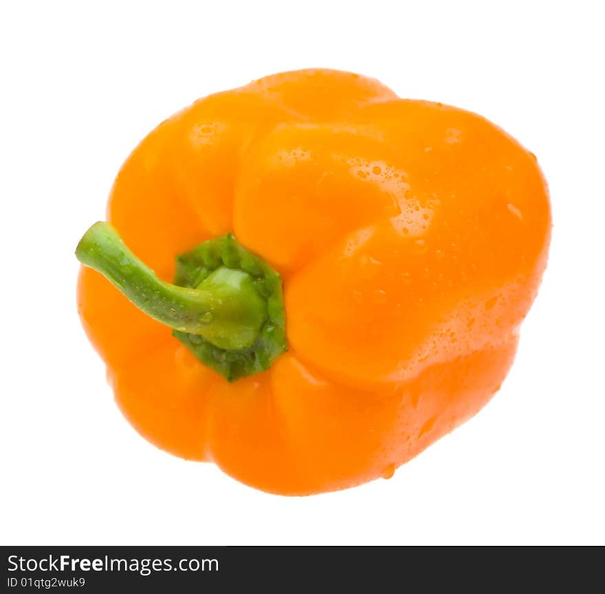 Close-up orange paprika with water drops isolated on white background. Close-up orange paprika with water drops isolated on white background