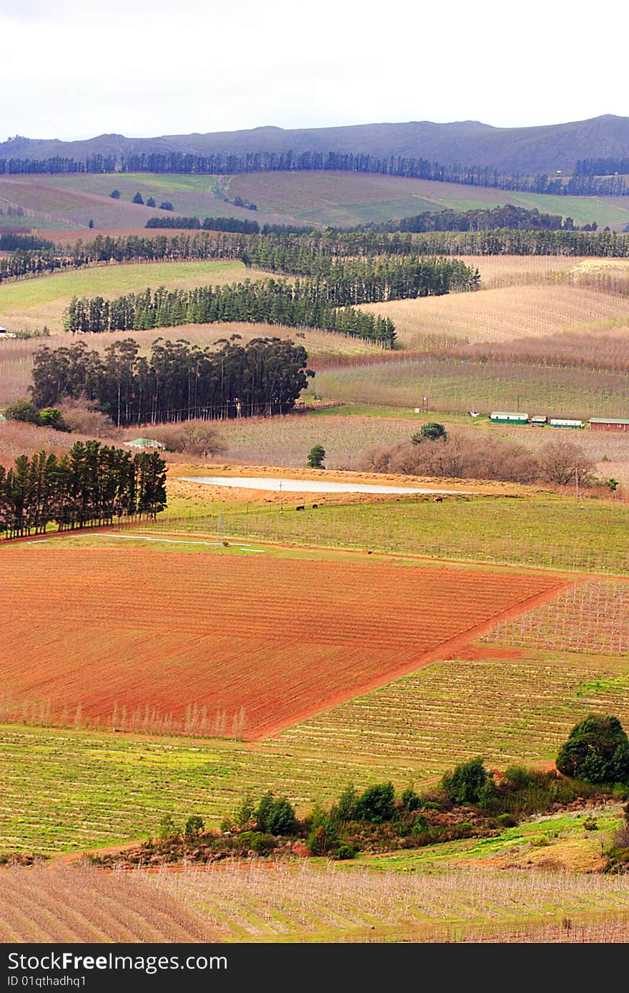 Farmland patchwork