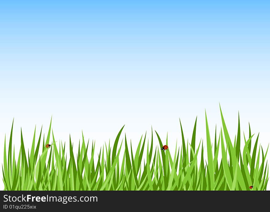 Grass green background vector illustration