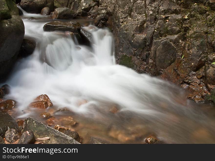 Stream In Tropical Forest