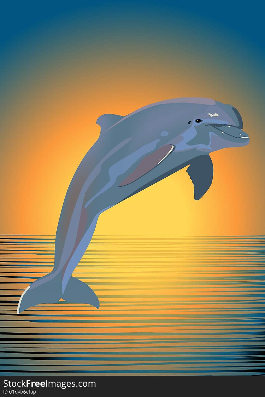 Dolphin