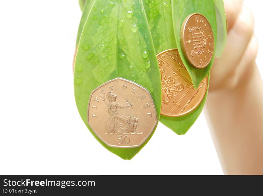 Female hand hold leave and a coin. Female hand hold leave and a coin