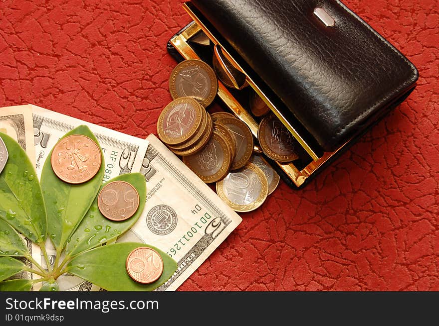 Green Leaves With Coins