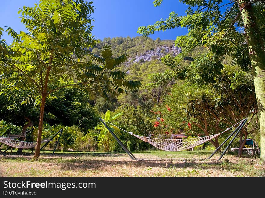 Hammock among tropic trees and palms with a remote mountain on the background. Hammock among tropic trees and palms with a remote mountain on the background