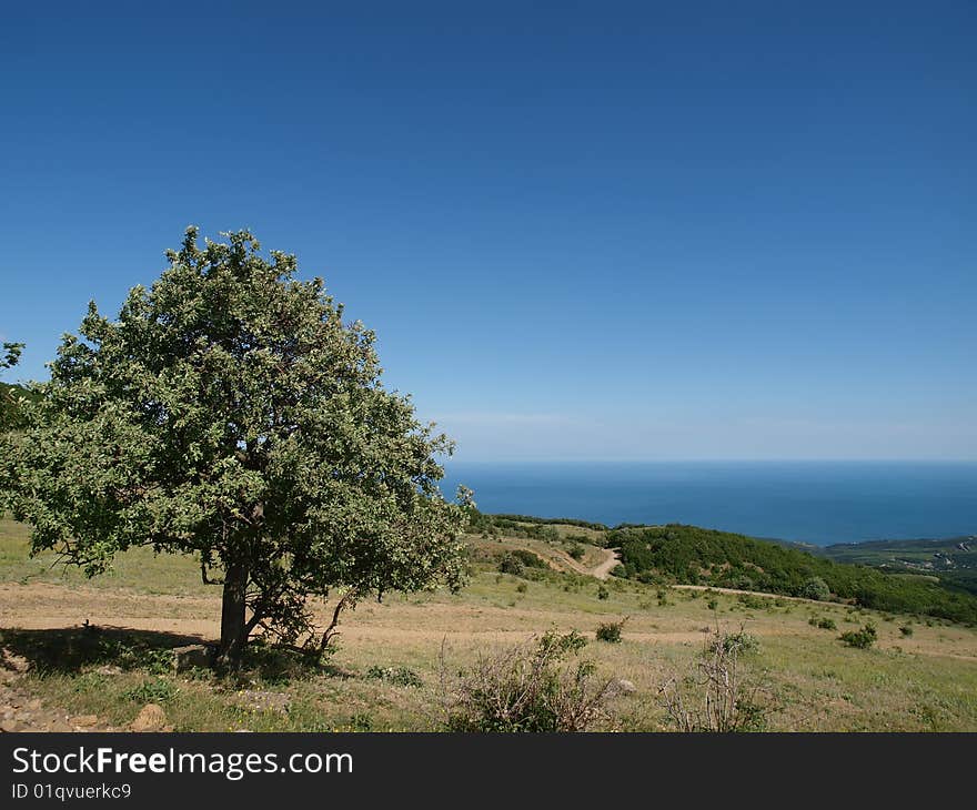 Mountains landscape with tree and blue sealine