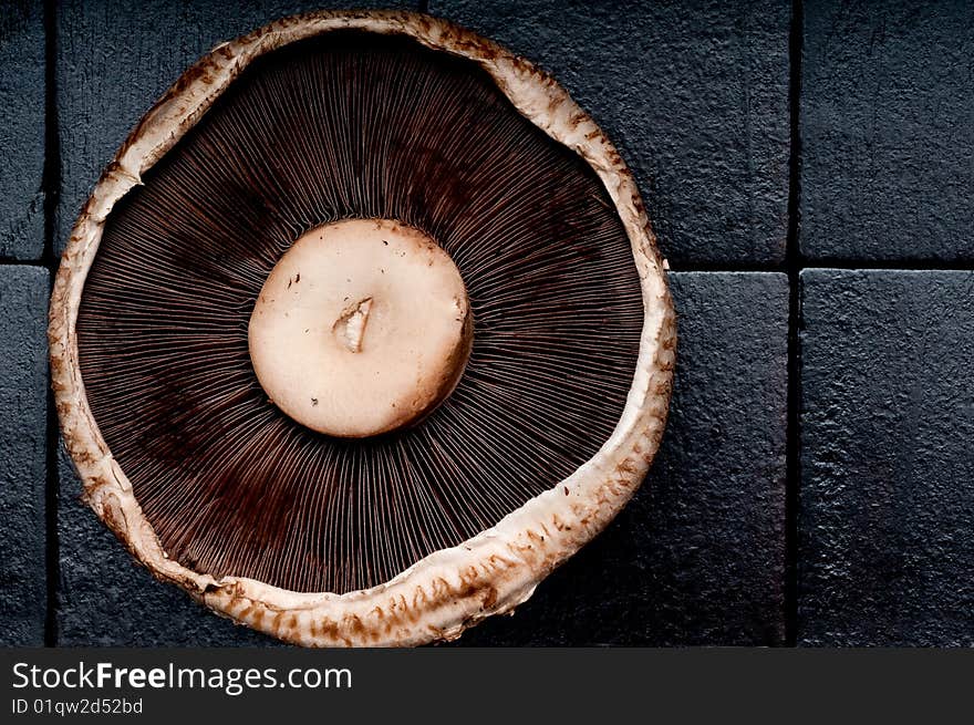 Portabella Mushroom Cap On A Black Background