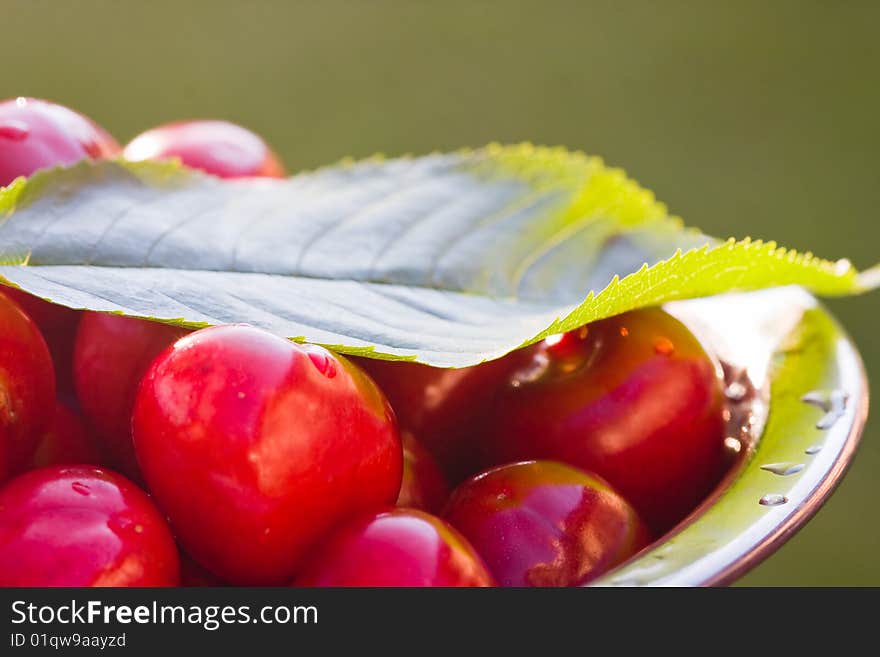 Cup of cherries