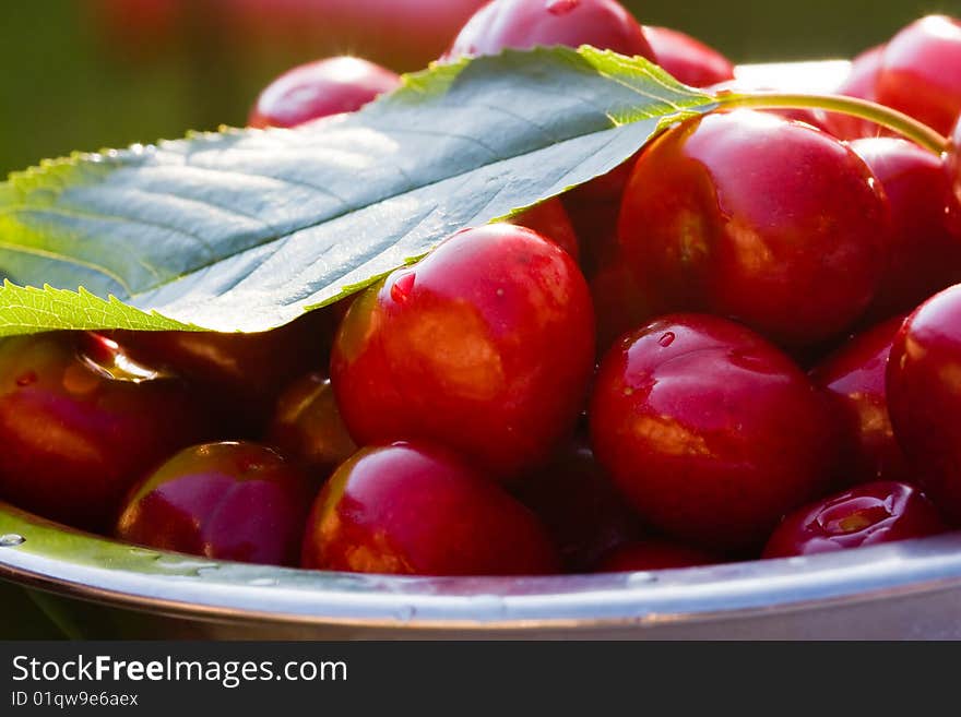 Cup of cherries