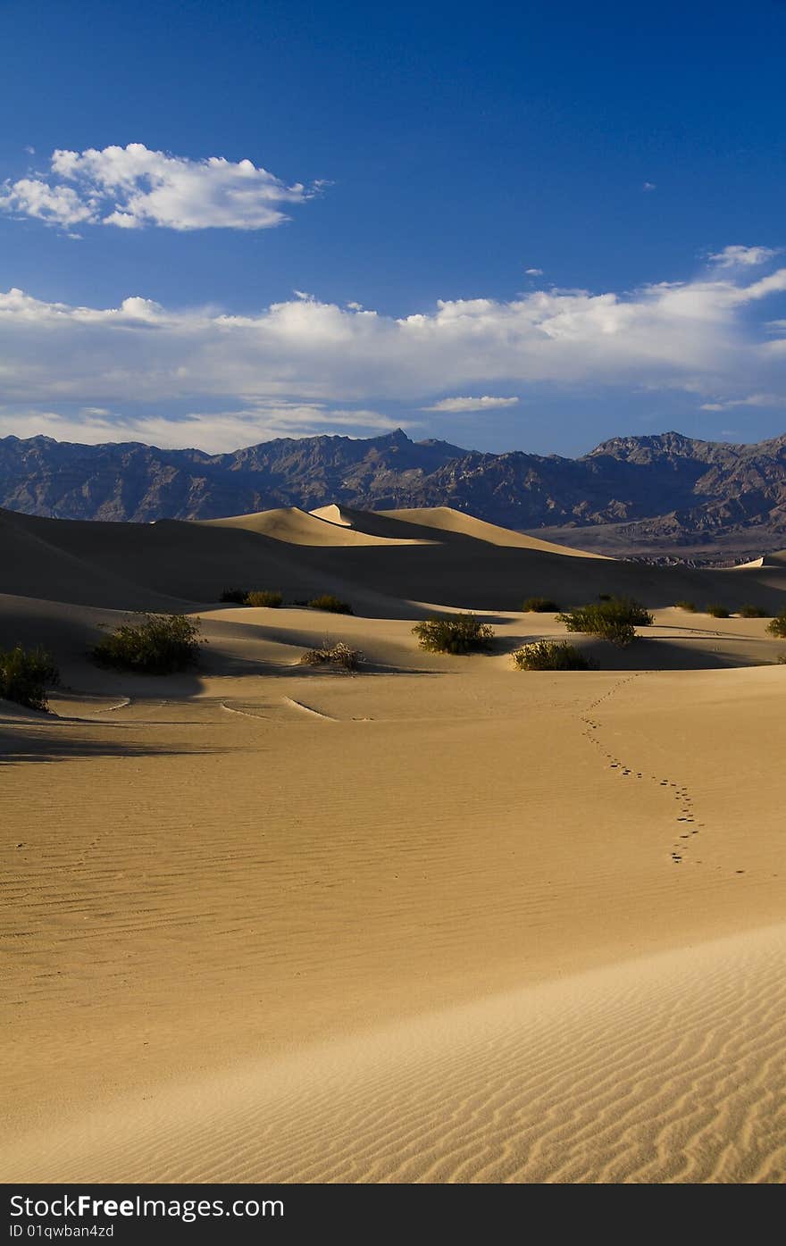 Death Valley, Sand Dunes