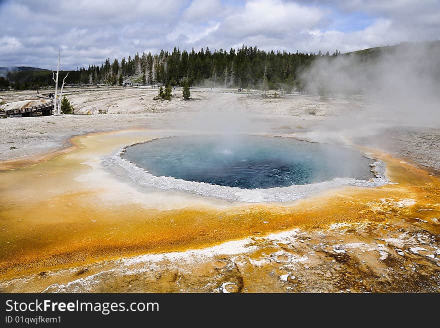 Picture of a geyser in Yellowstone National Park