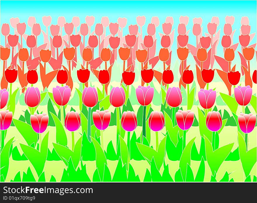 Figure a background from numbers of flowers of a tulip. Figure a background from numbers of flowers of a tulip