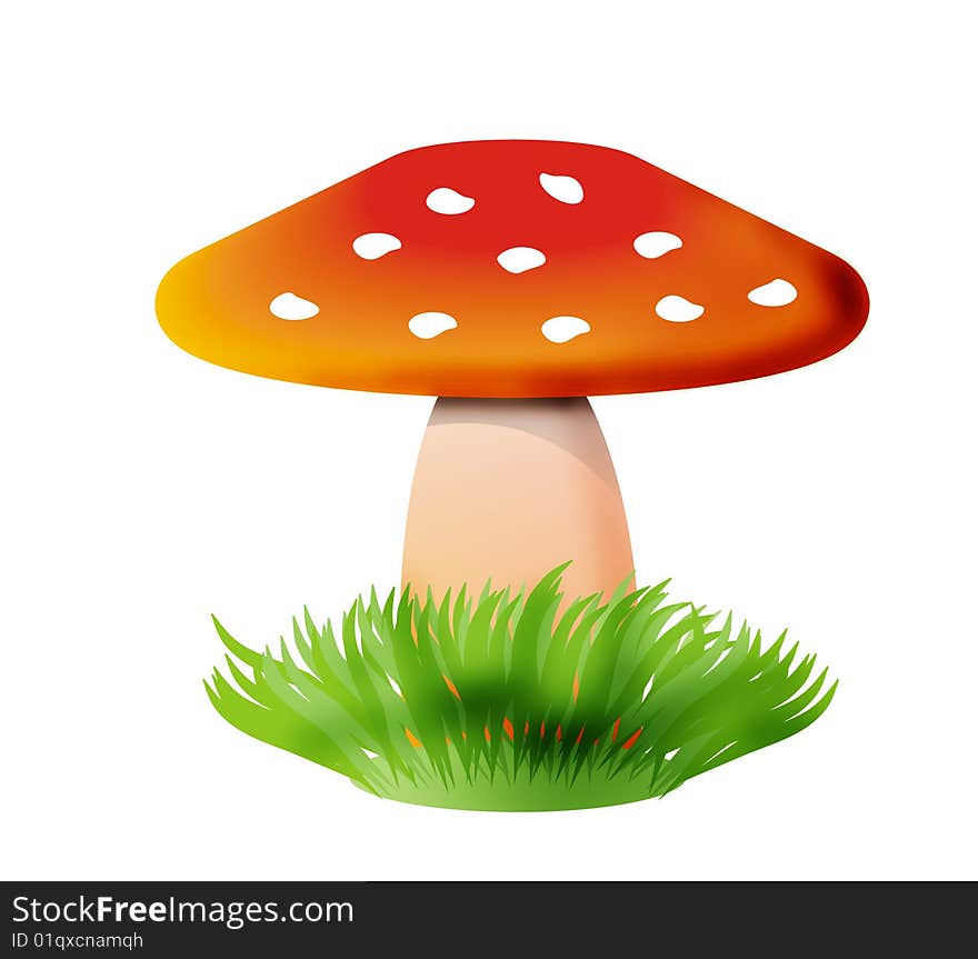 Mushroom