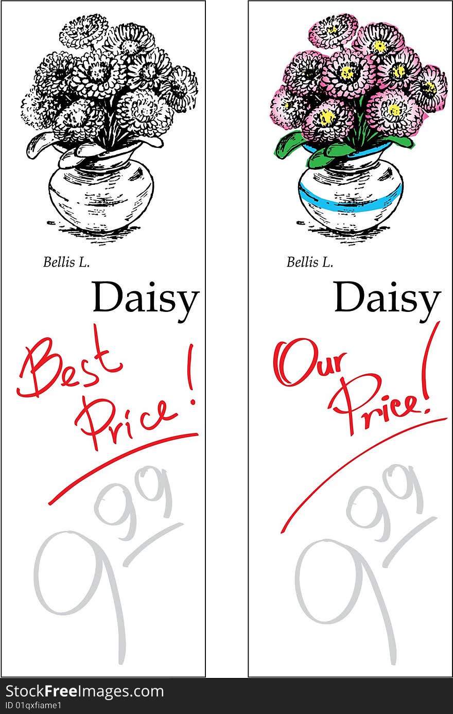 Daisy - two price tags for flower shop