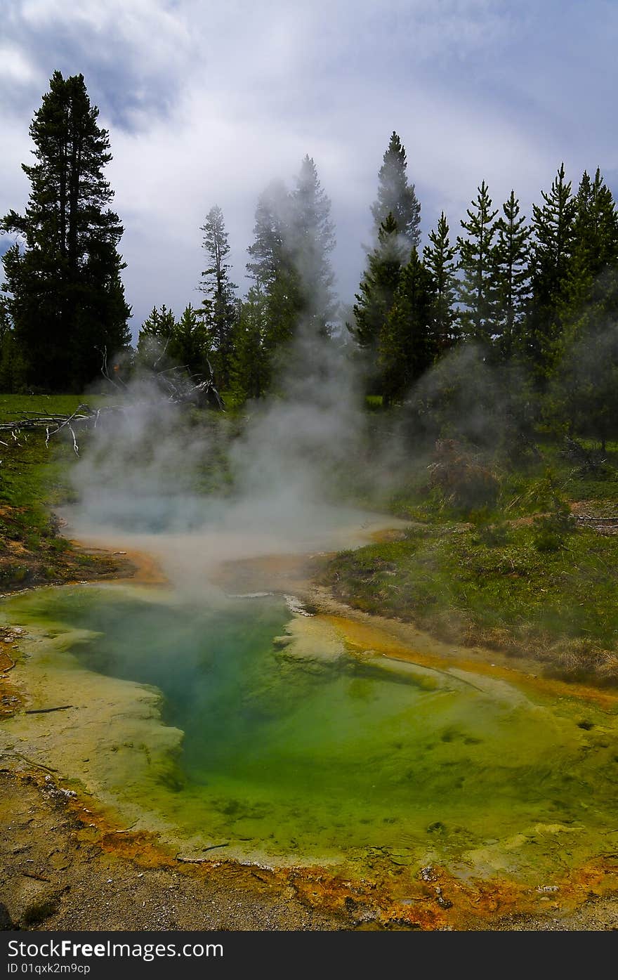 Picture of a geyser in Yellowstone National Park