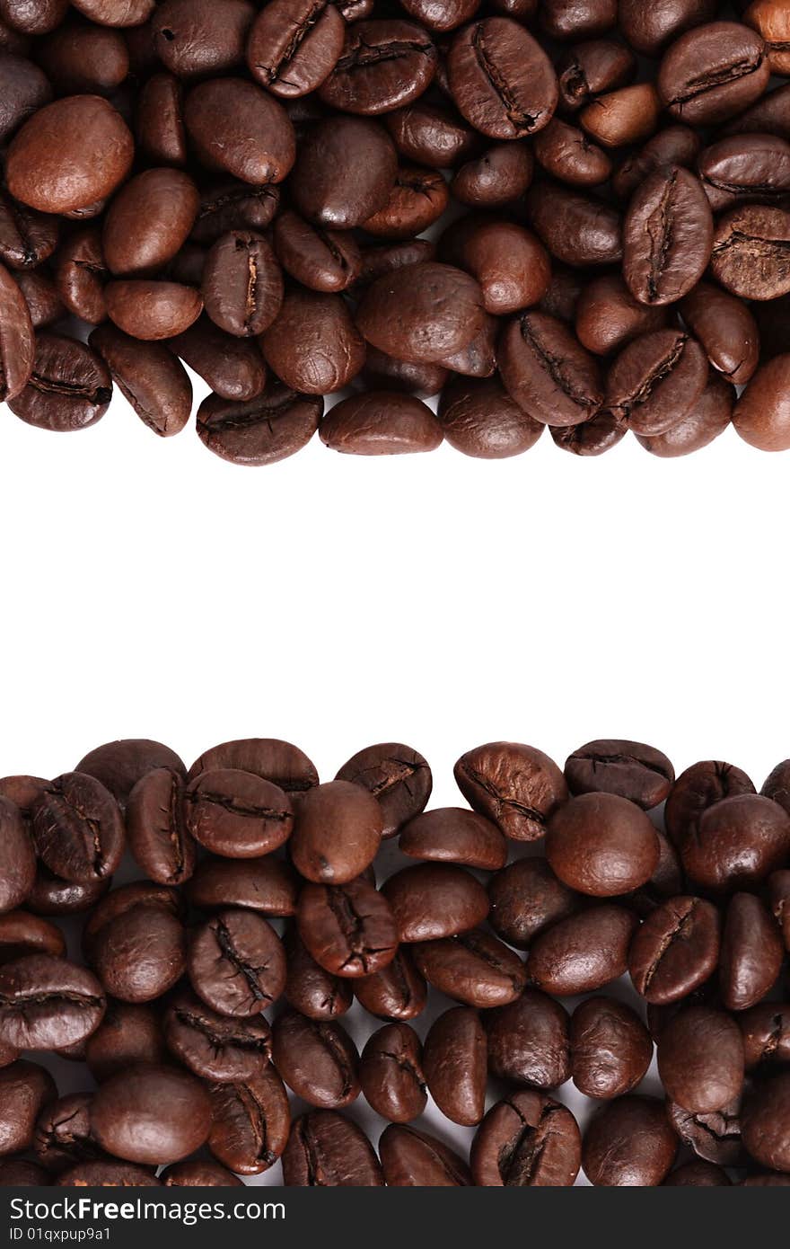 Coffee beans lined up horizontal