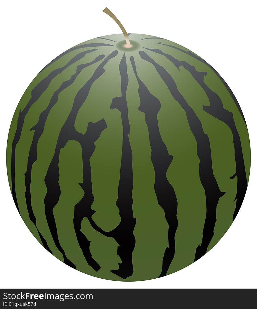 Melon