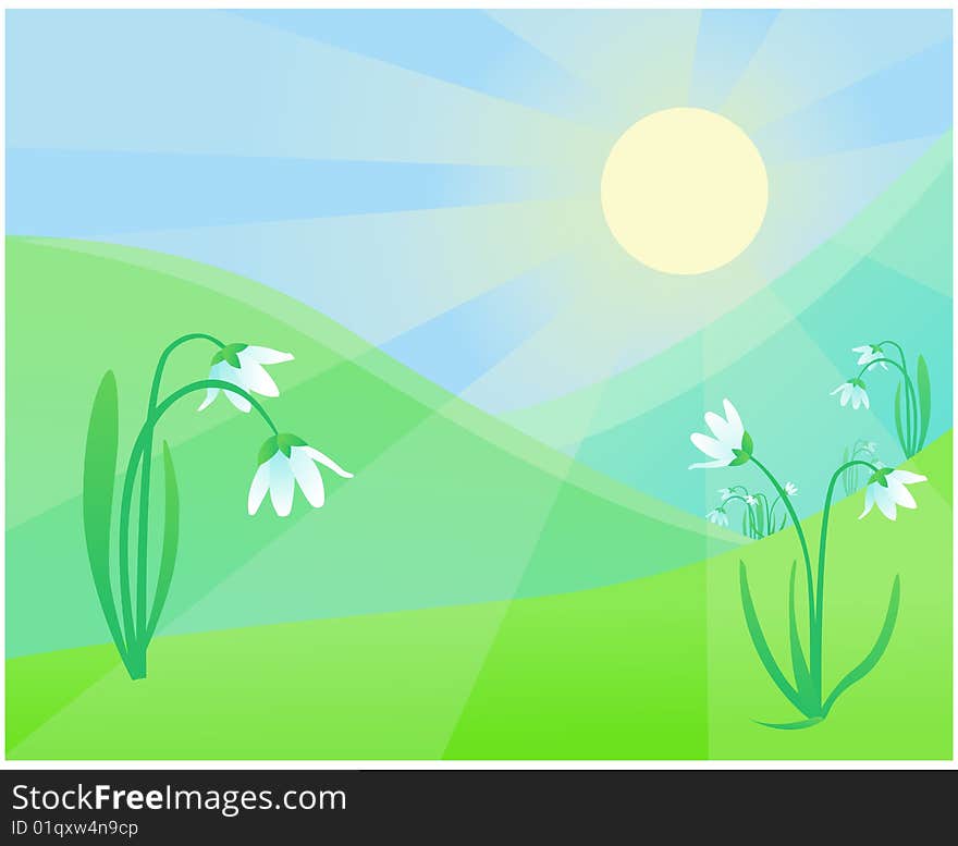 Vector illustration of snowdrops in the meadow under the light of the spring sun. Everything is fresh and filled with new hopes. Vector illustration of snowdrops in the meadow under the light of the spring sun. Everything is fresh and filled with new hopes.