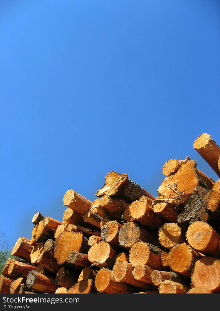 Drying Red Logs.