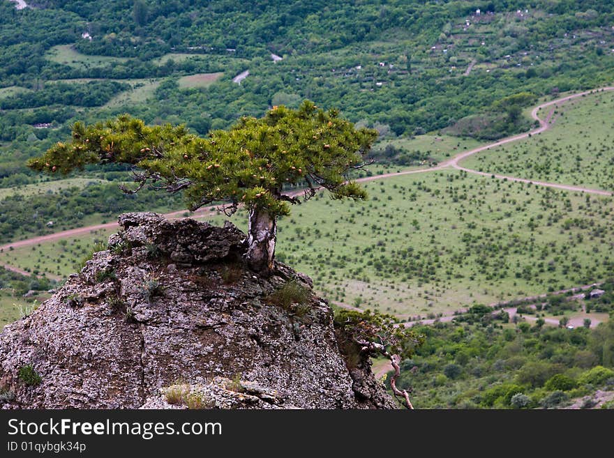 Top of the Demerdzhi, Crimea