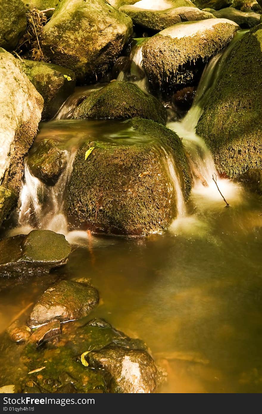 Rocky River, the mountain forest. Rocky River, the mountain forest.