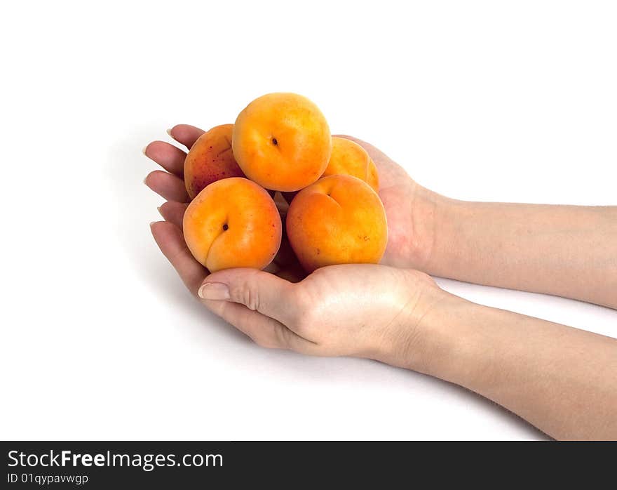 Fresh apricot isolated on white. Fresh apricot isolated on white