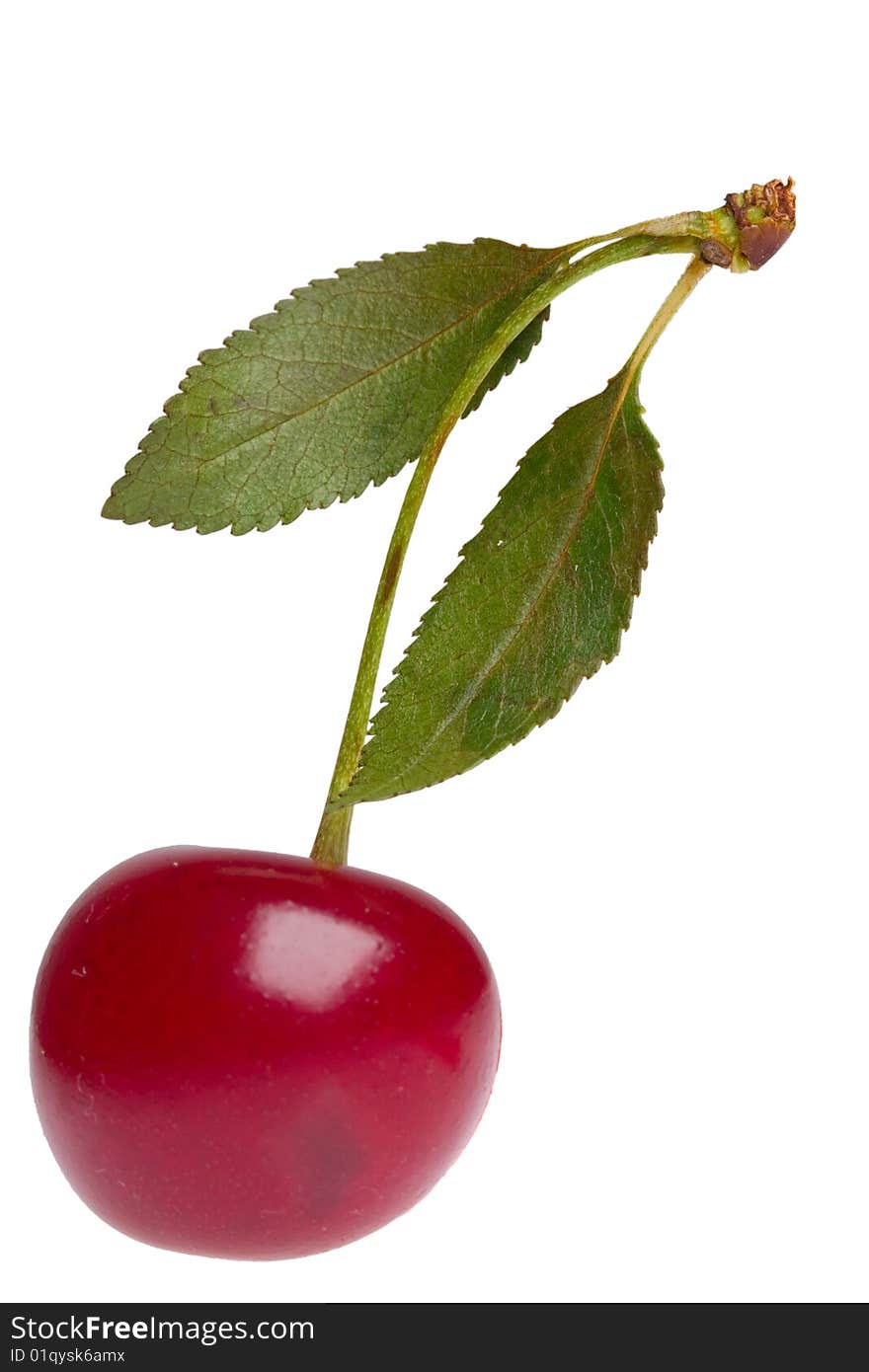 Cherry