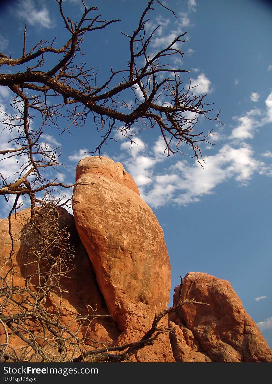 Arches National Park Rock mountain and Tree with blue sky