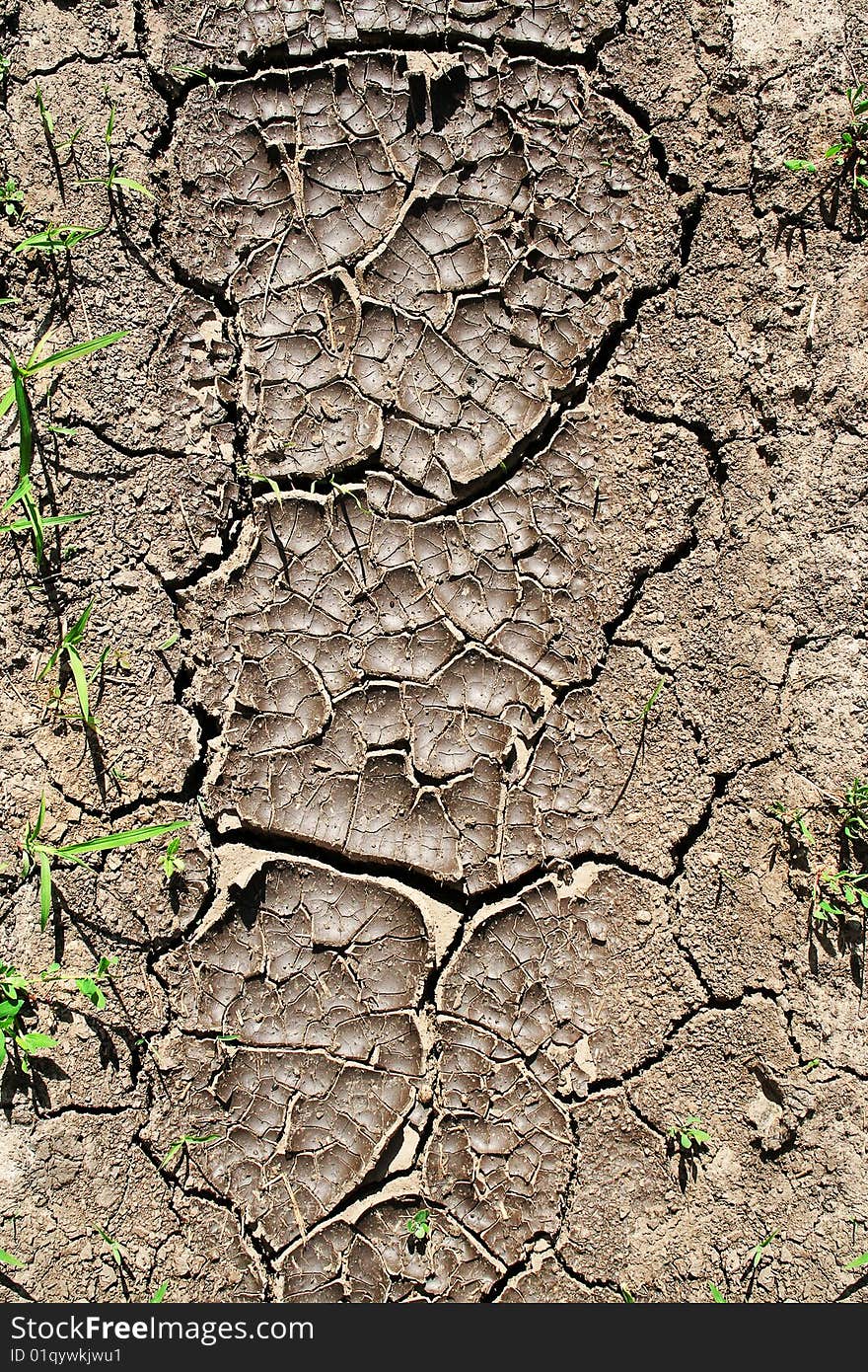 Cracked ground texture. Global warming concept