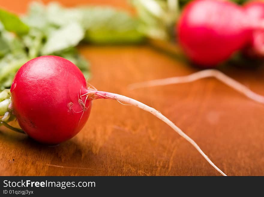 Radish