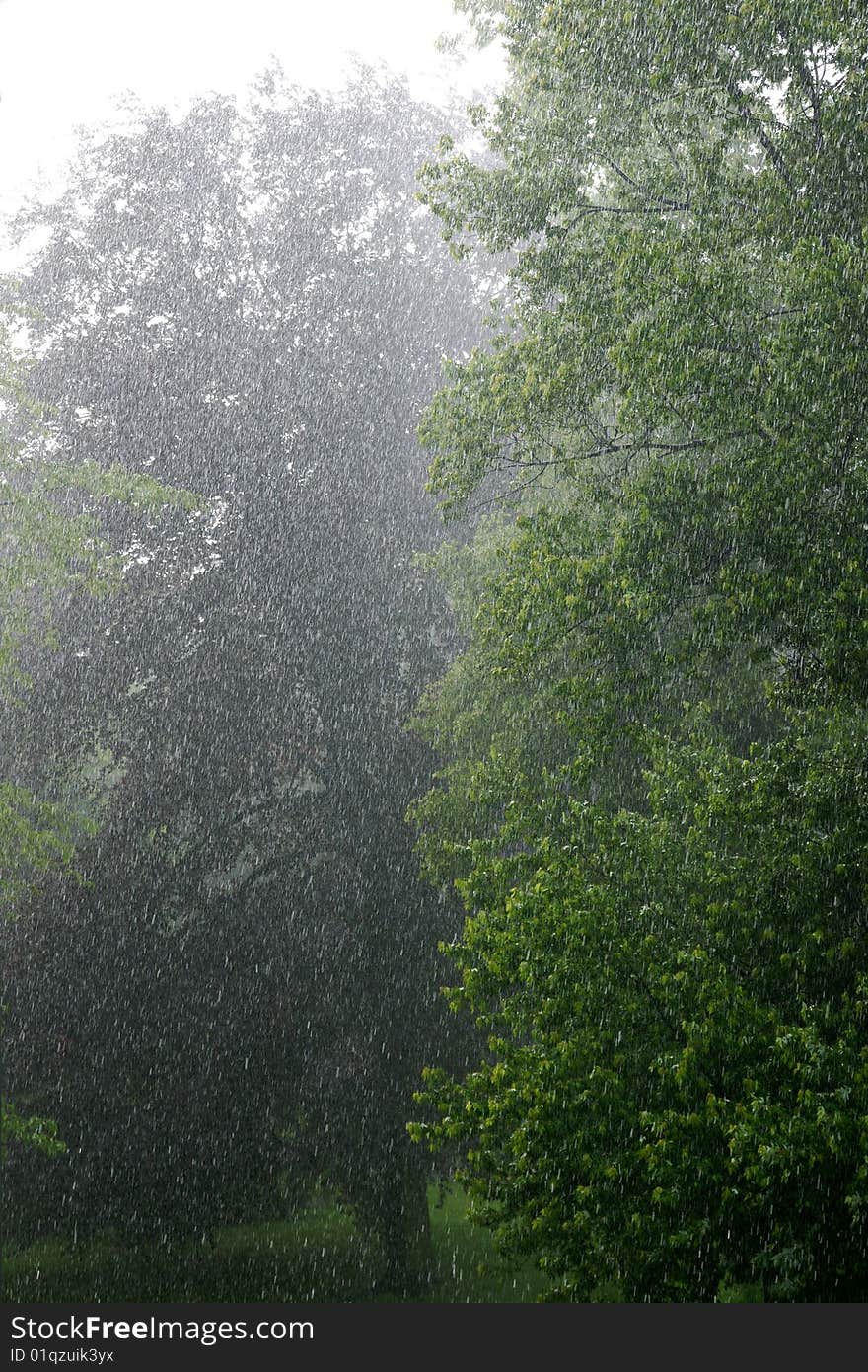 Torrential Rain