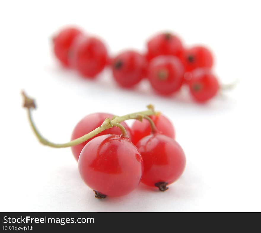 Red currant on a white background