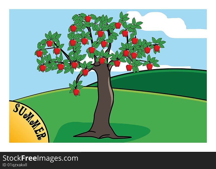 An apple tree with apple fruits. An apple tree with apple fruits