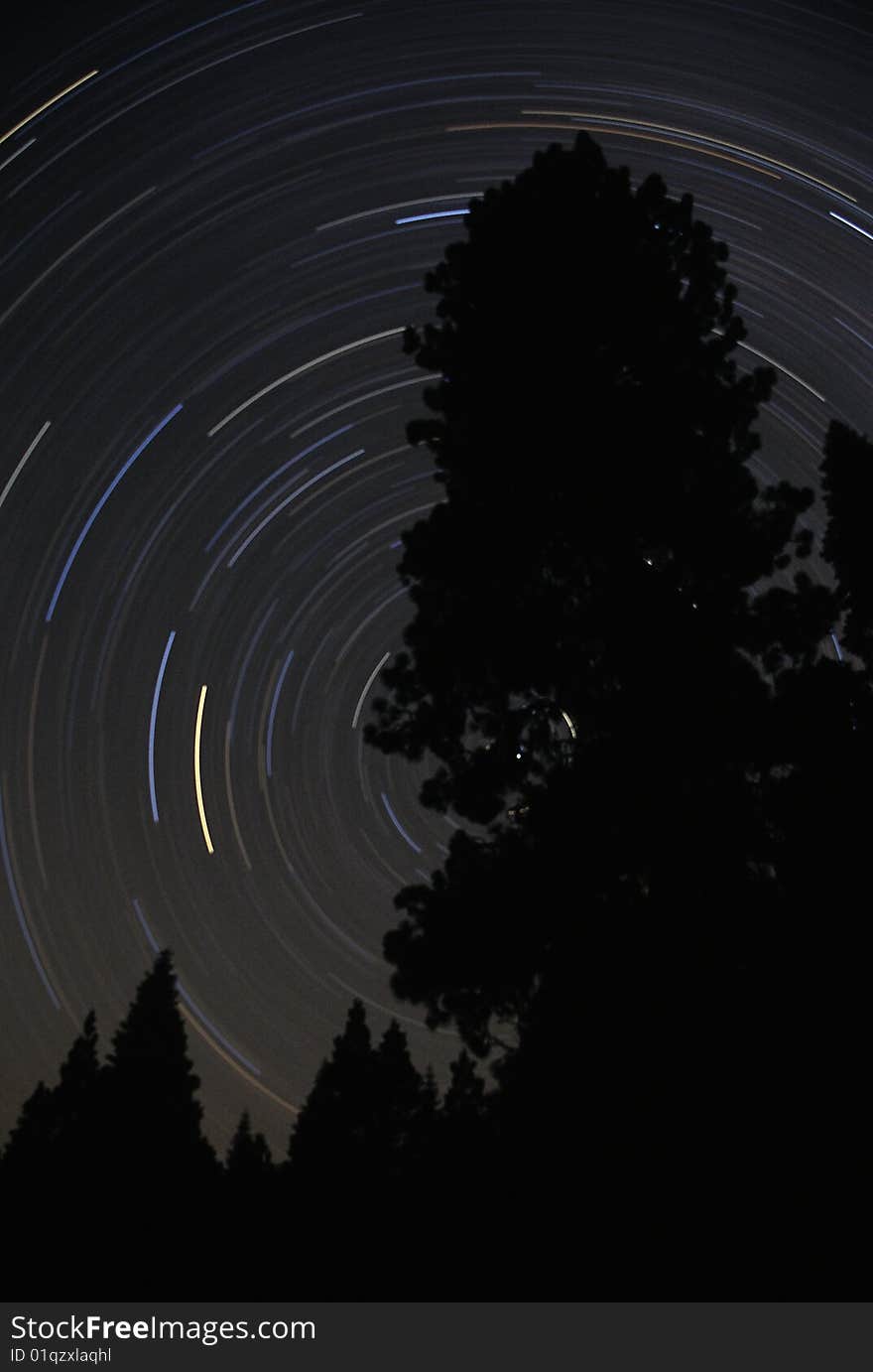 Star trails swirling around the north star in woods of Yosemite. Star trails swirling around the north star in woods of Yosemite.