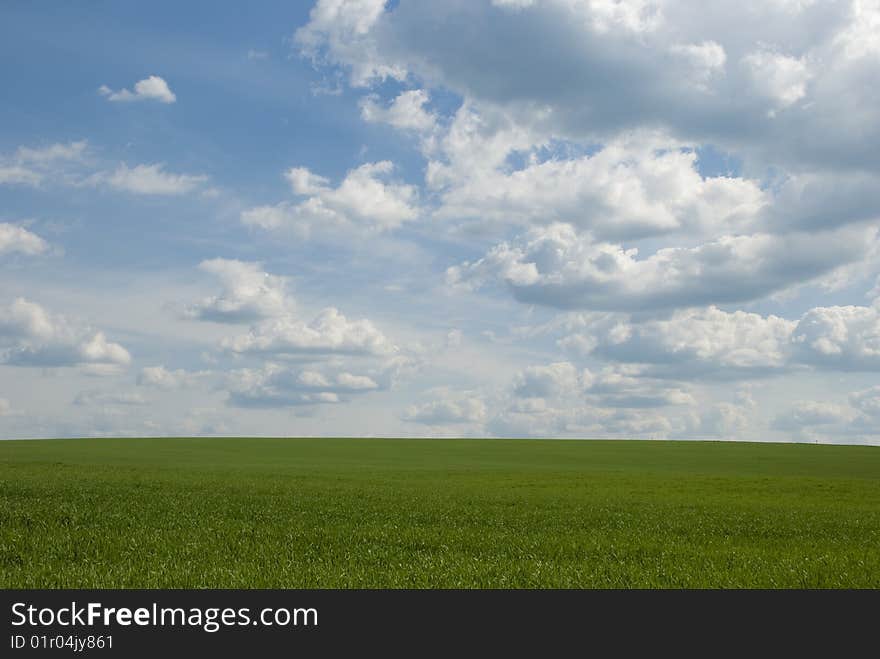 Landscape of the green field with bright solar sky. Landscape of the green field with bright solar sky