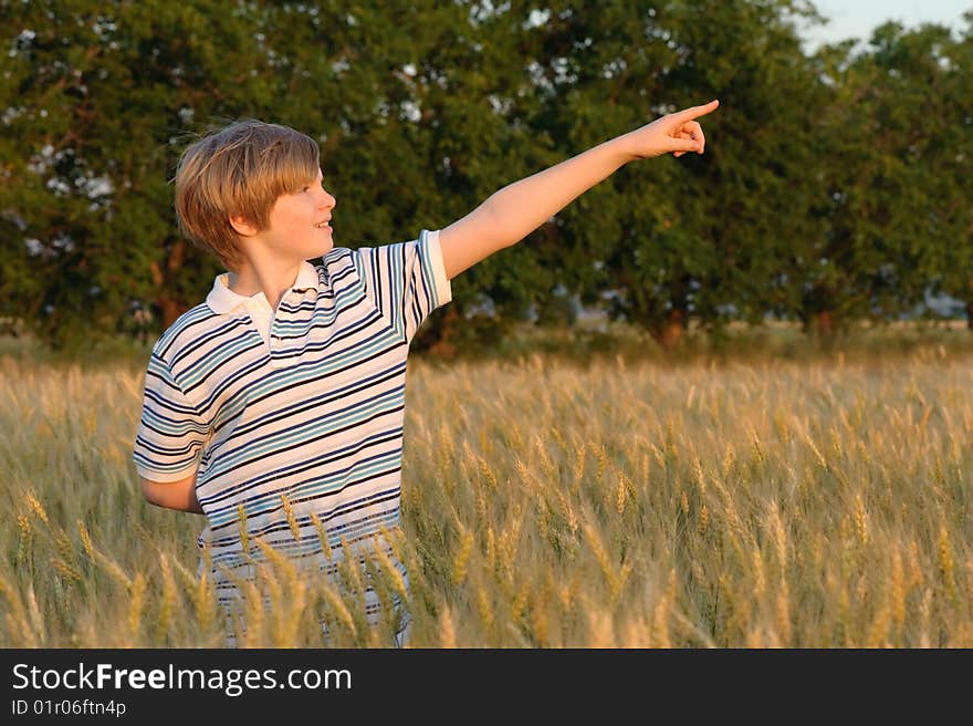 Boy at the wheat field