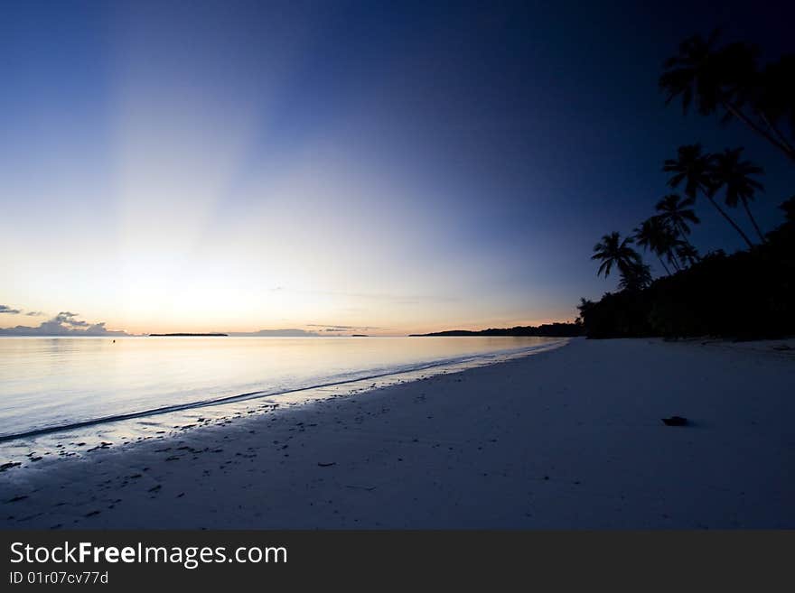 Beautiful tropical sunset at sea with palms