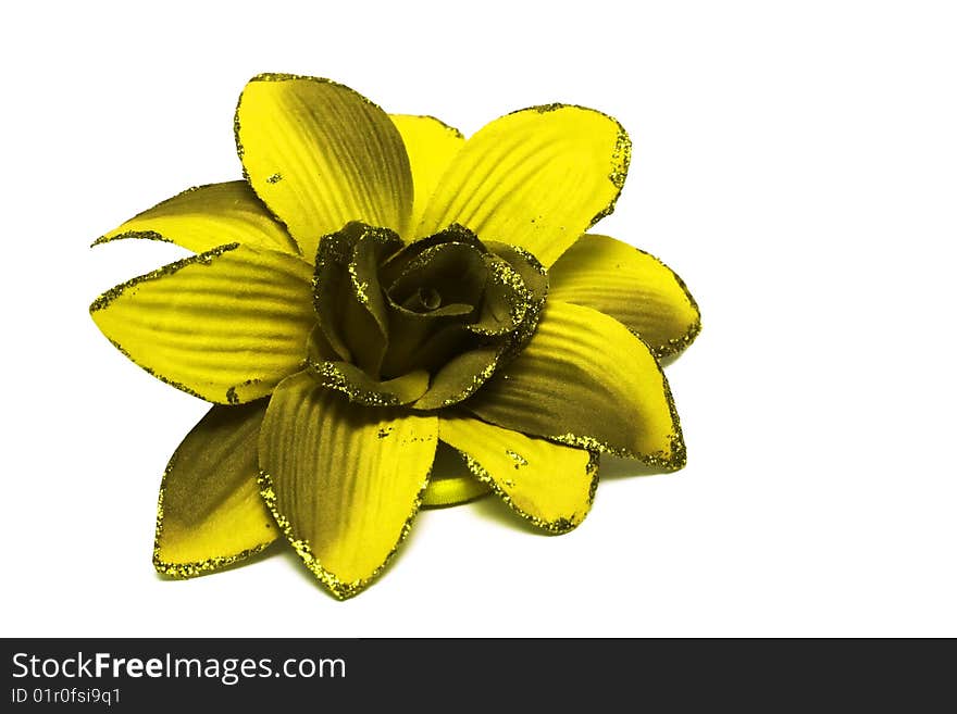 Artificial Flower Isolated