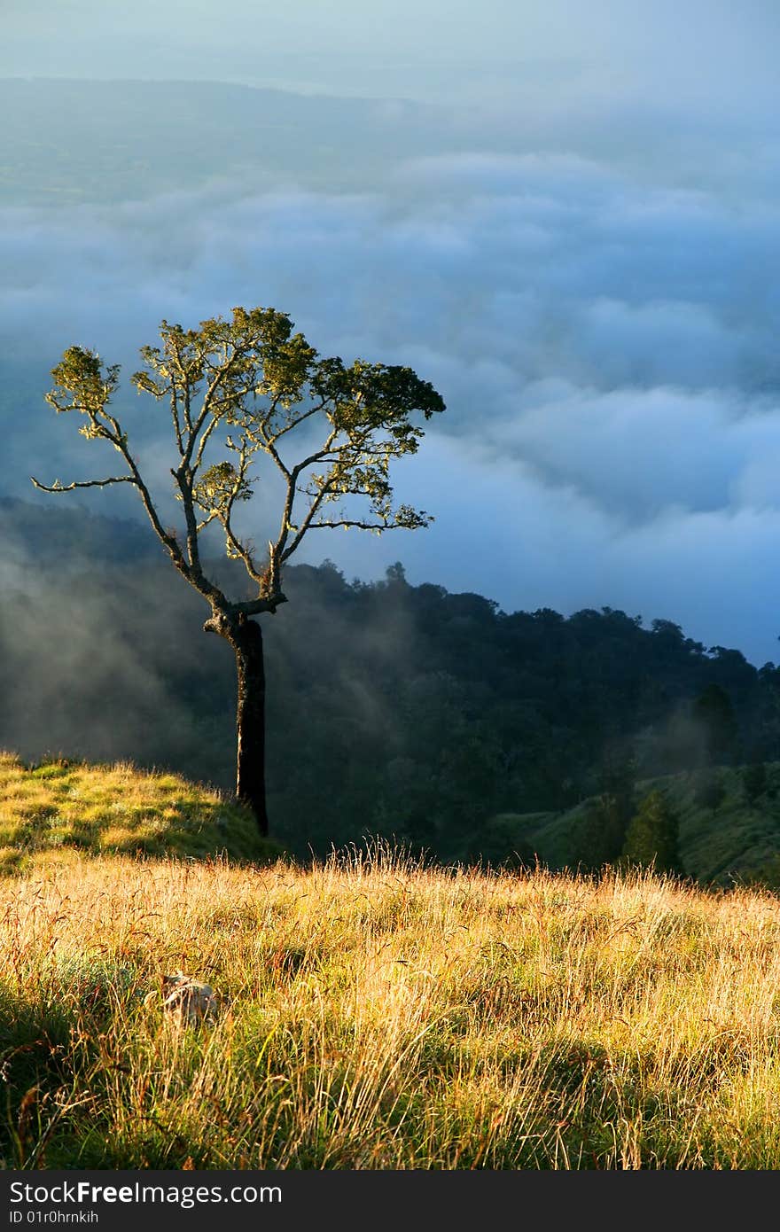 View From Gunung Rinjani