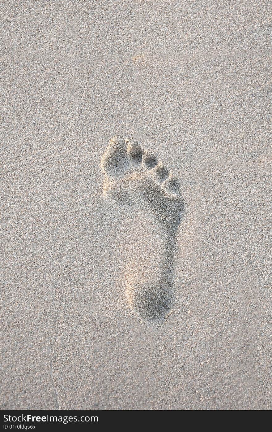 Footprint in clean shite beach sand