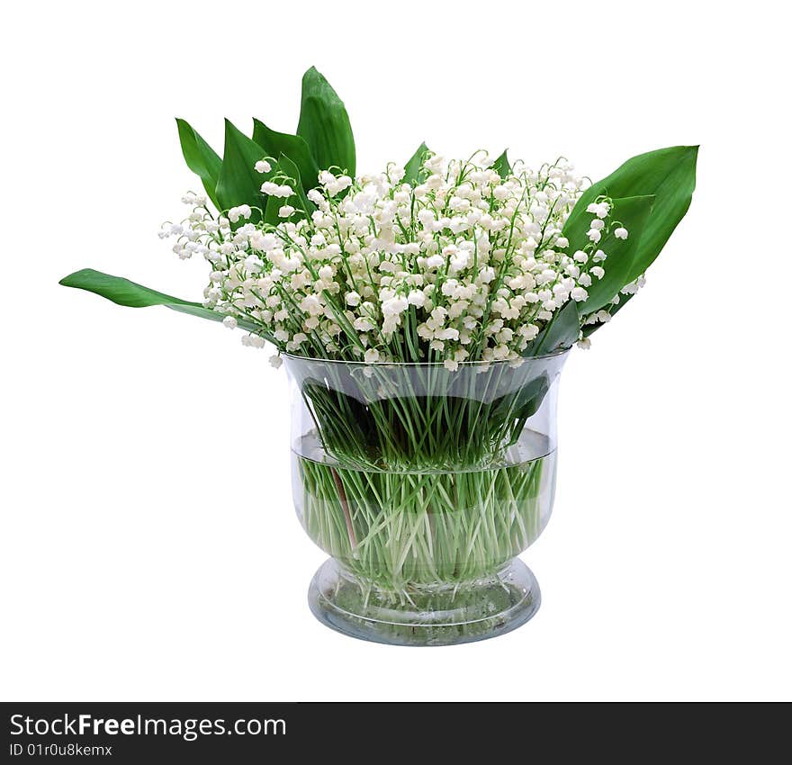 Bouquet of lily of the valley isolated over white